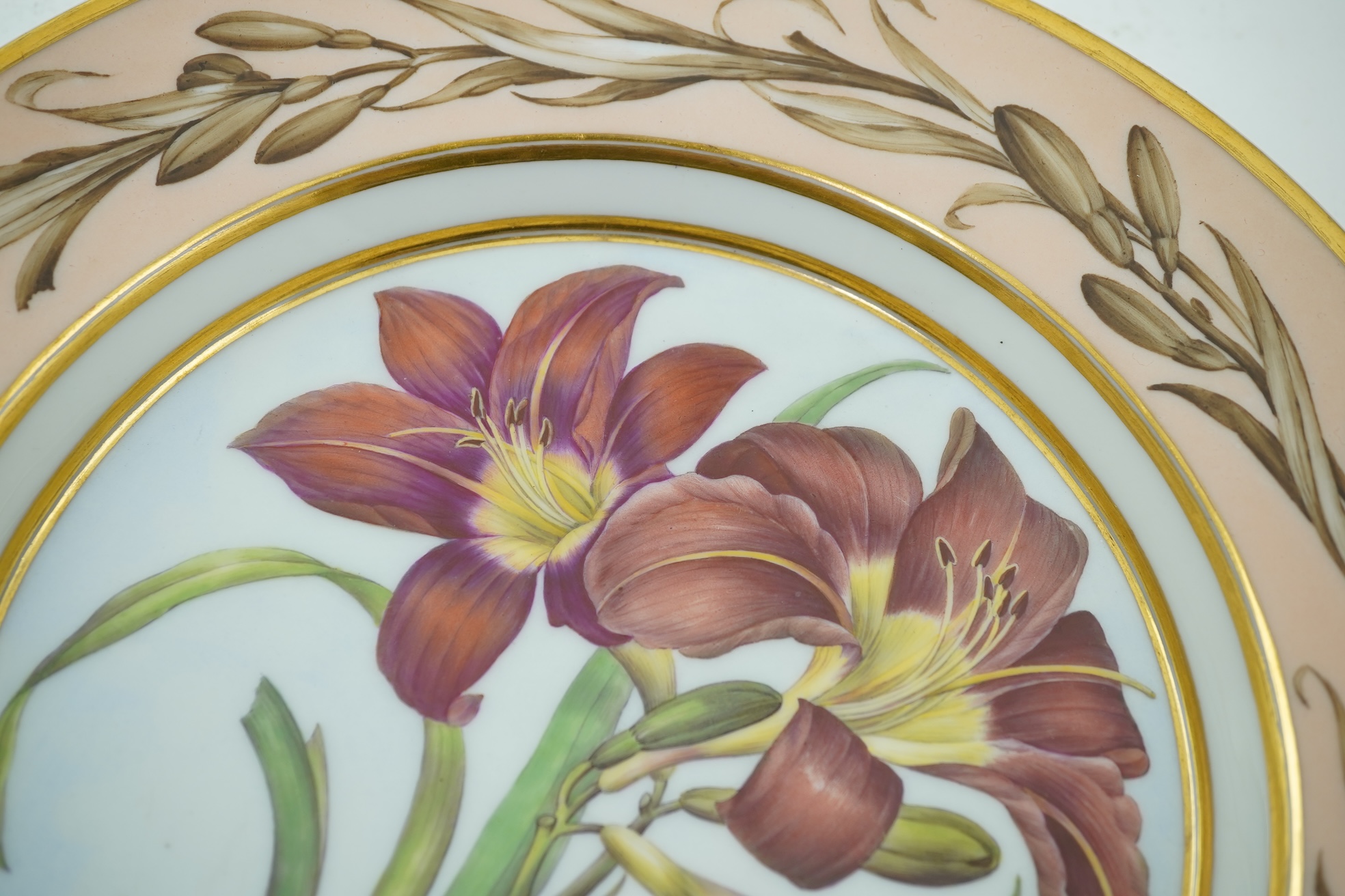 A KPM Berlin Orange day-lily botanical specimen plate, c.1806-9